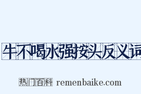 牛不喝水强按头反义词是什么意思的图片